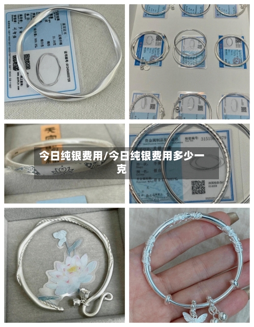 今日纯银费用/今日纯银费用多少一克-第2张图片