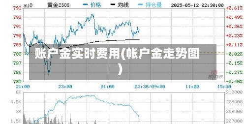 账户金实时费用(帐户金走势图)-第2张图片