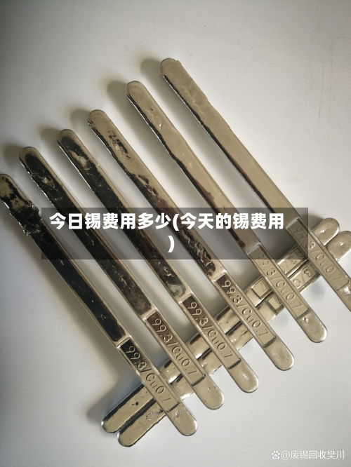 今日锡费用多少(今天的锡费用)-第3张图片