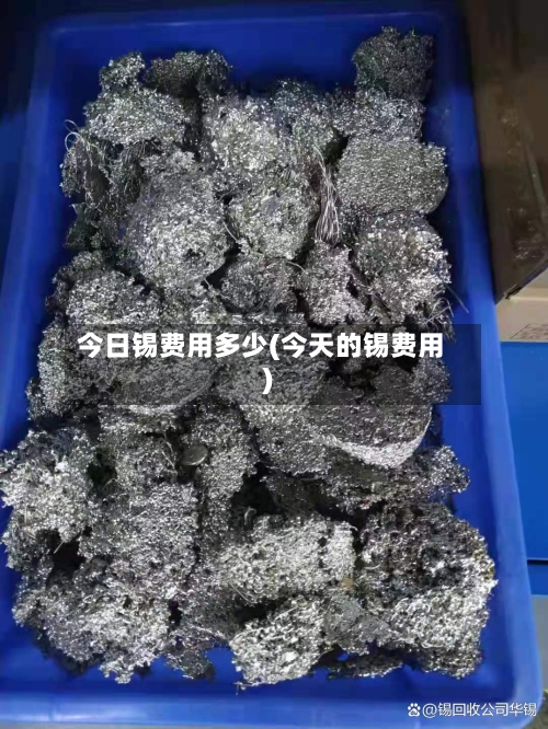 今日锡费用多少(今天的锡费用)-第2张图片