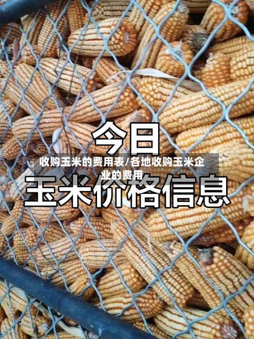 收购玉米的费用表/各地收购玉米企业的费用-第2张图片