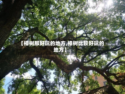 【樟树那好玩的地方,樟树比较好玩的地方】