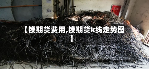 【镁期货费用,镁期货k线走势图】