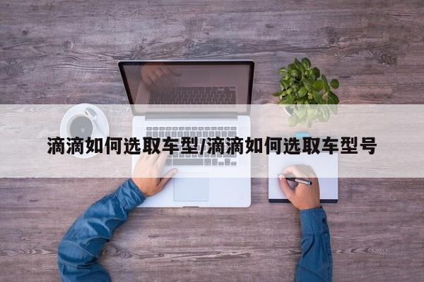 滴滴如何选取车型/滴滴如何选取车型号