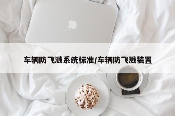 车辆防飞溅系统标准/车辆防飞溅装置