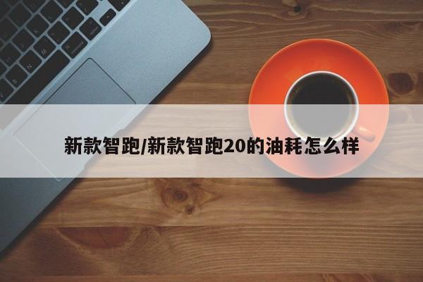 新款智跑/新款智跑20的油耗怎么样