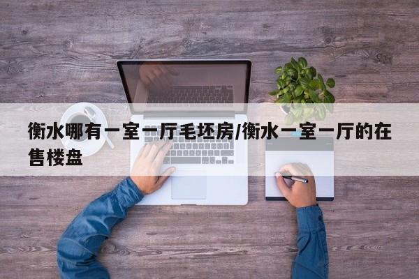 衡水哪有一室一厅毛坯房/衡水一室一厅的在售楼盘